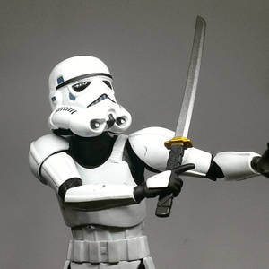 Swordtrooper