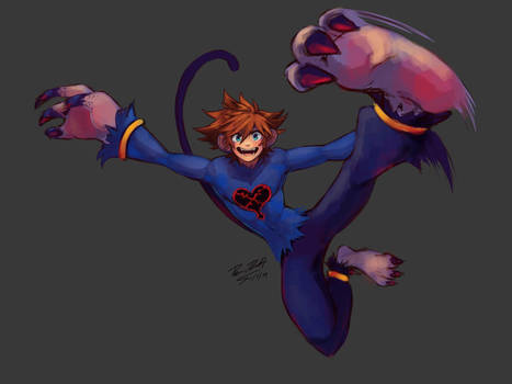 Powerwild Heartless Sora