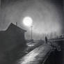 Nocturnal Traveller