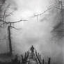 Into the Unknown