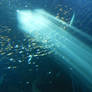 Underwater - Light II