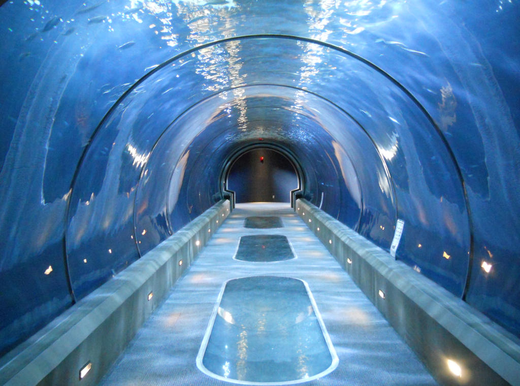 Underwater Tunnel by ArtistStock