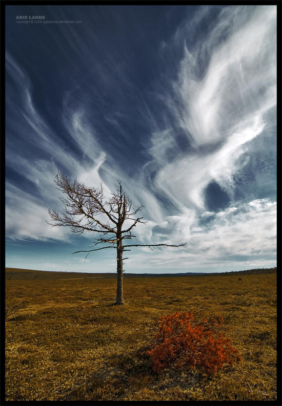 Arid Lands by ageofloss on DeviantArt