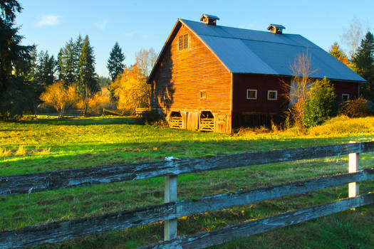 Green Barn Stock