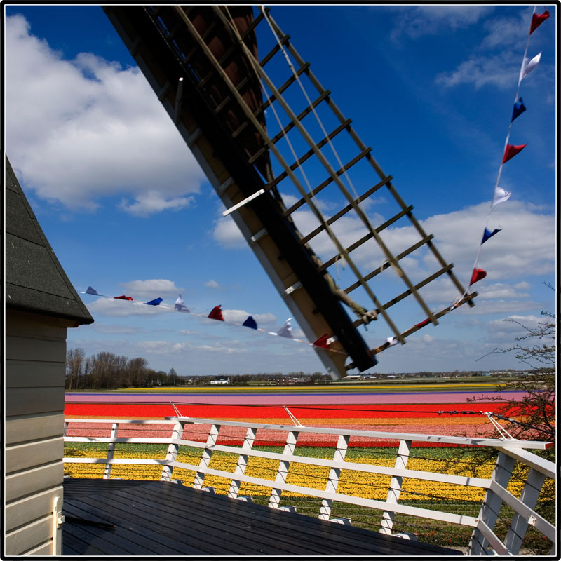 holland: windmill