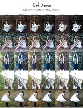 Dark Dreamer LR Presets