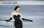 Catwalk Talk Banner by Queen-Kitty Catwalk Talk Banner by Queen-Kitty