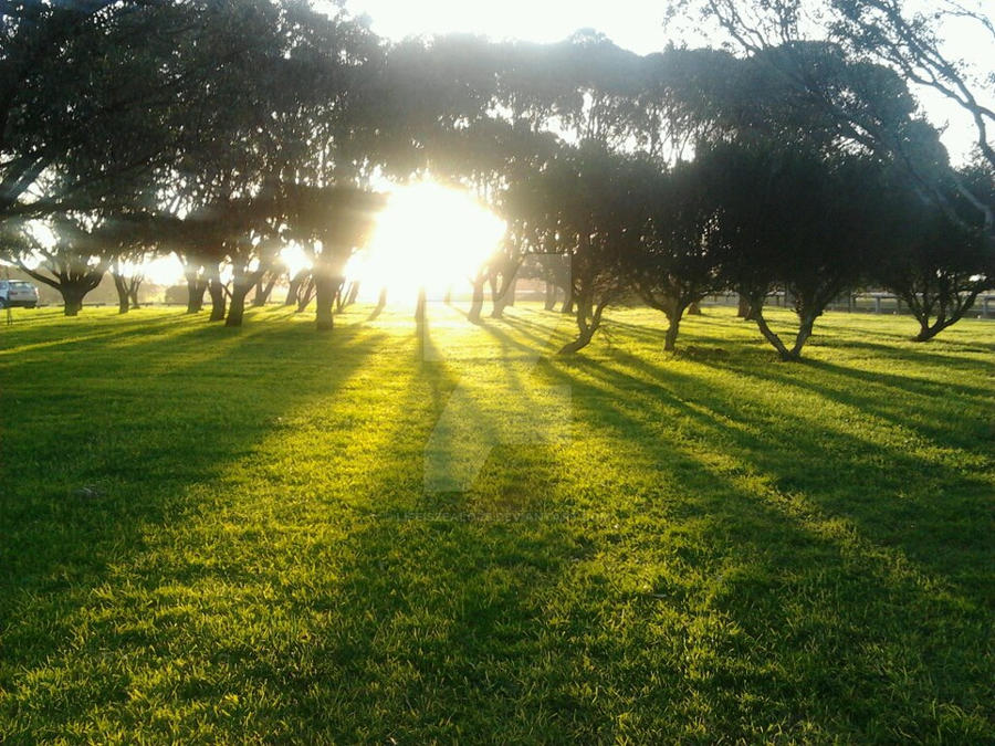 Golden Afternoon by LifeIsZealous