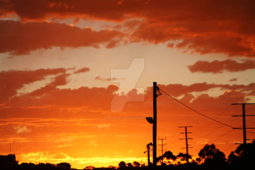 Sunset Silhouette