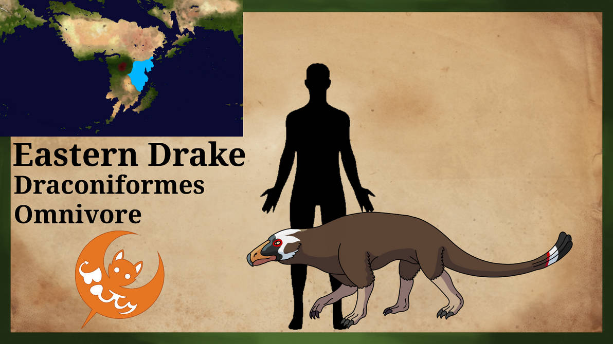Eastern Drake Patterns Eastern Drake by GalaxyBatty on DeviantArt