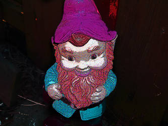 I Heart Gnomes