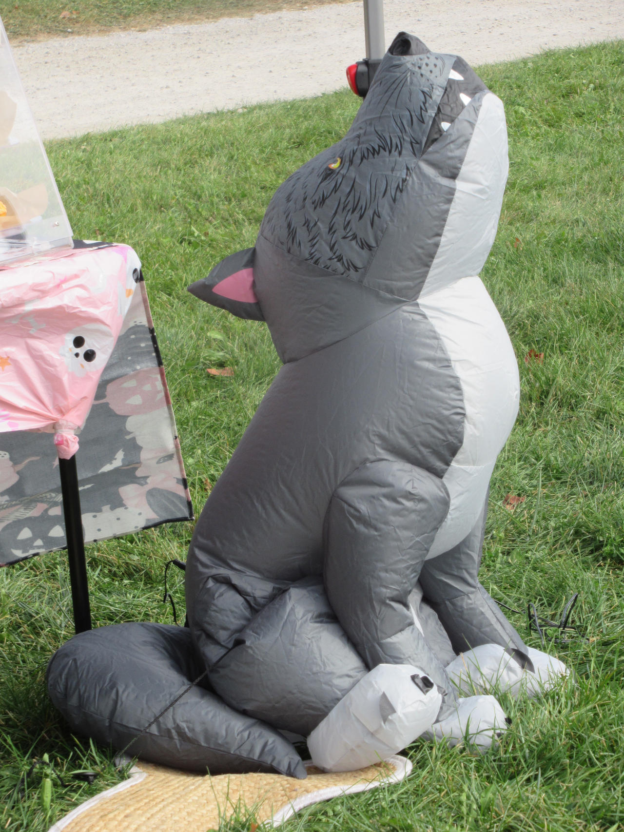 Anonymous Inflatable Inflatable Wolf by CodetskiPhotography on DeviantArt
