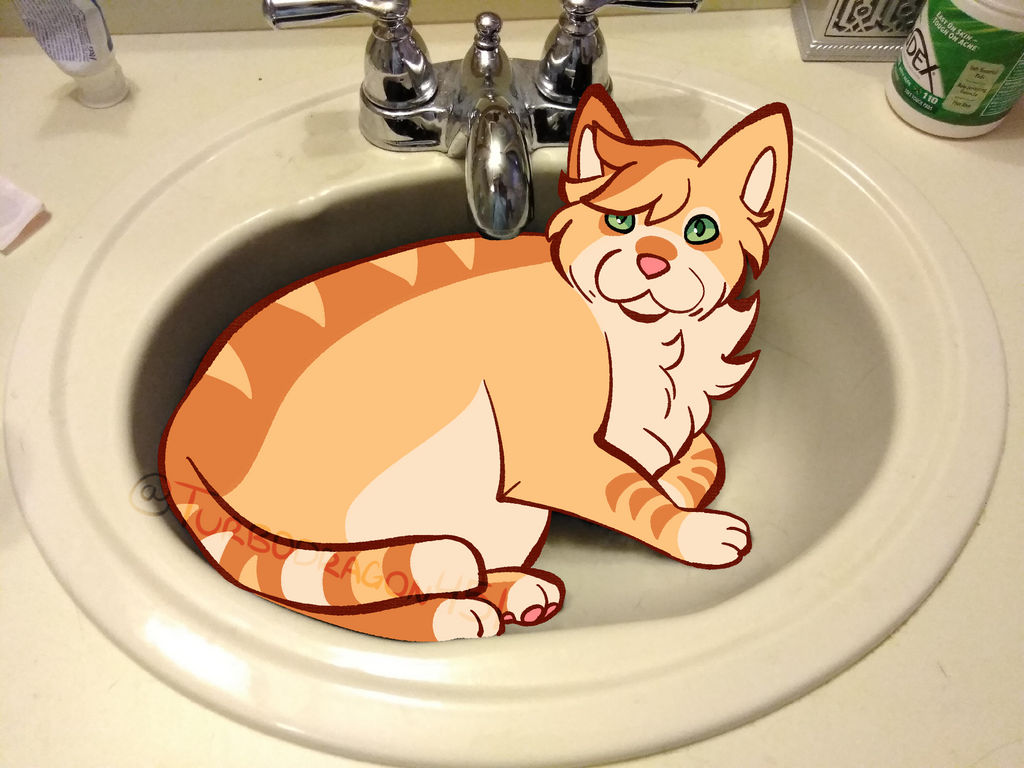 Sink Cat