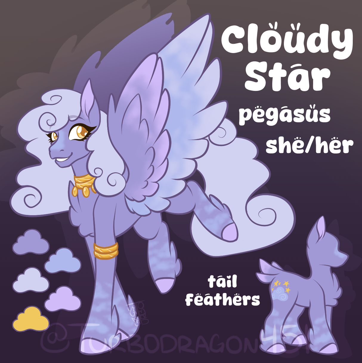Cloudy Star ref