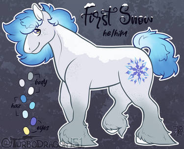 First Snow