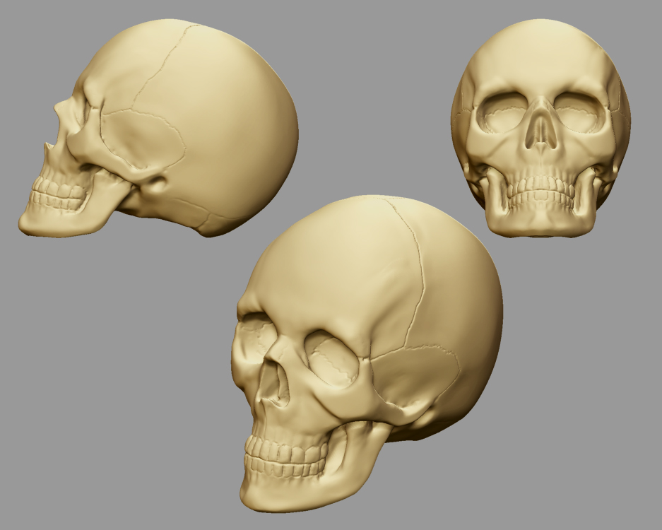 Skull Speedsculpt