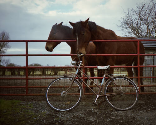 mothers old bike