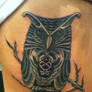 Owl Cover-up.