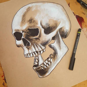 Gouache skull