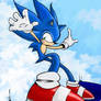 Sonic-Sky
