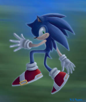 Sonic the Hedgehog-2008
