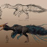 Toucan Dragon-Concept Sheet