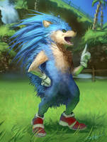 Sonic the Realhog