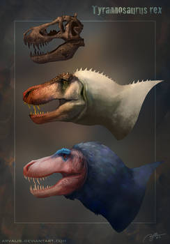 T. rex Reconstructions