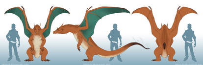 Charizard Orthographic