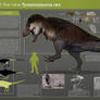 Saurian-T. rex Infographic