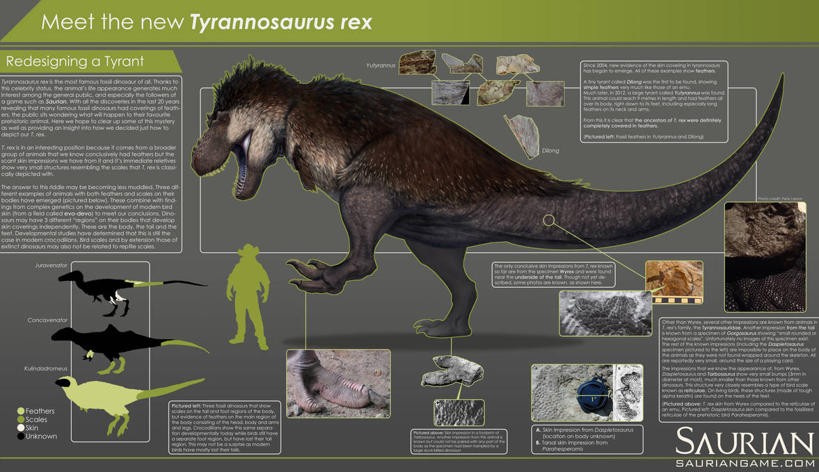 Saurian-T. rex Infographic by arvalis on DeviantArt