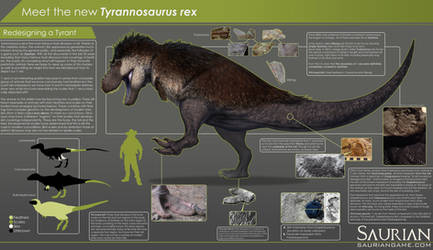 Saurian-T. rex Infographic