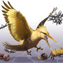 -Zapdos-
