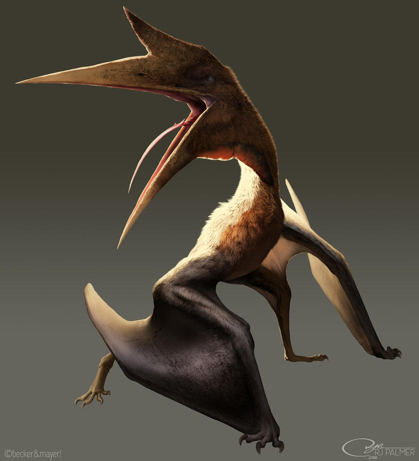 Quetzalcoatlus 5e Creature D D Wiki.