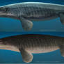 Saurian-Mosasaurus