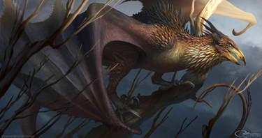 Wyvern