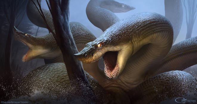 Hydra