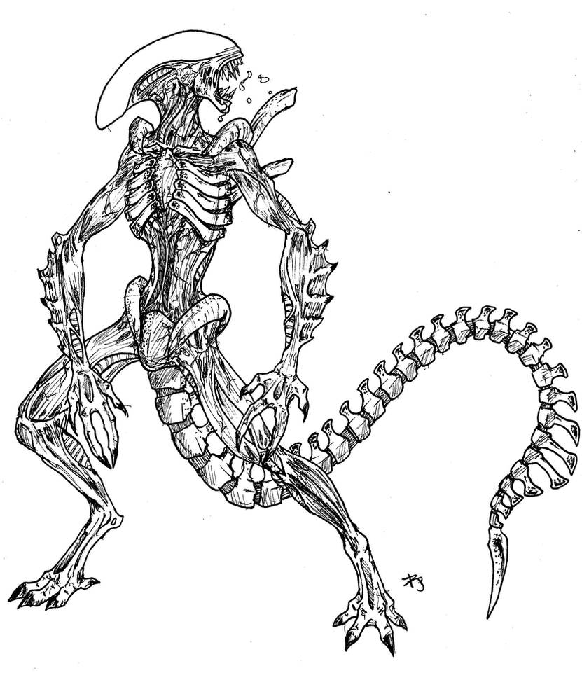 Xenomorph Warrior by arvalis on DeviantArt