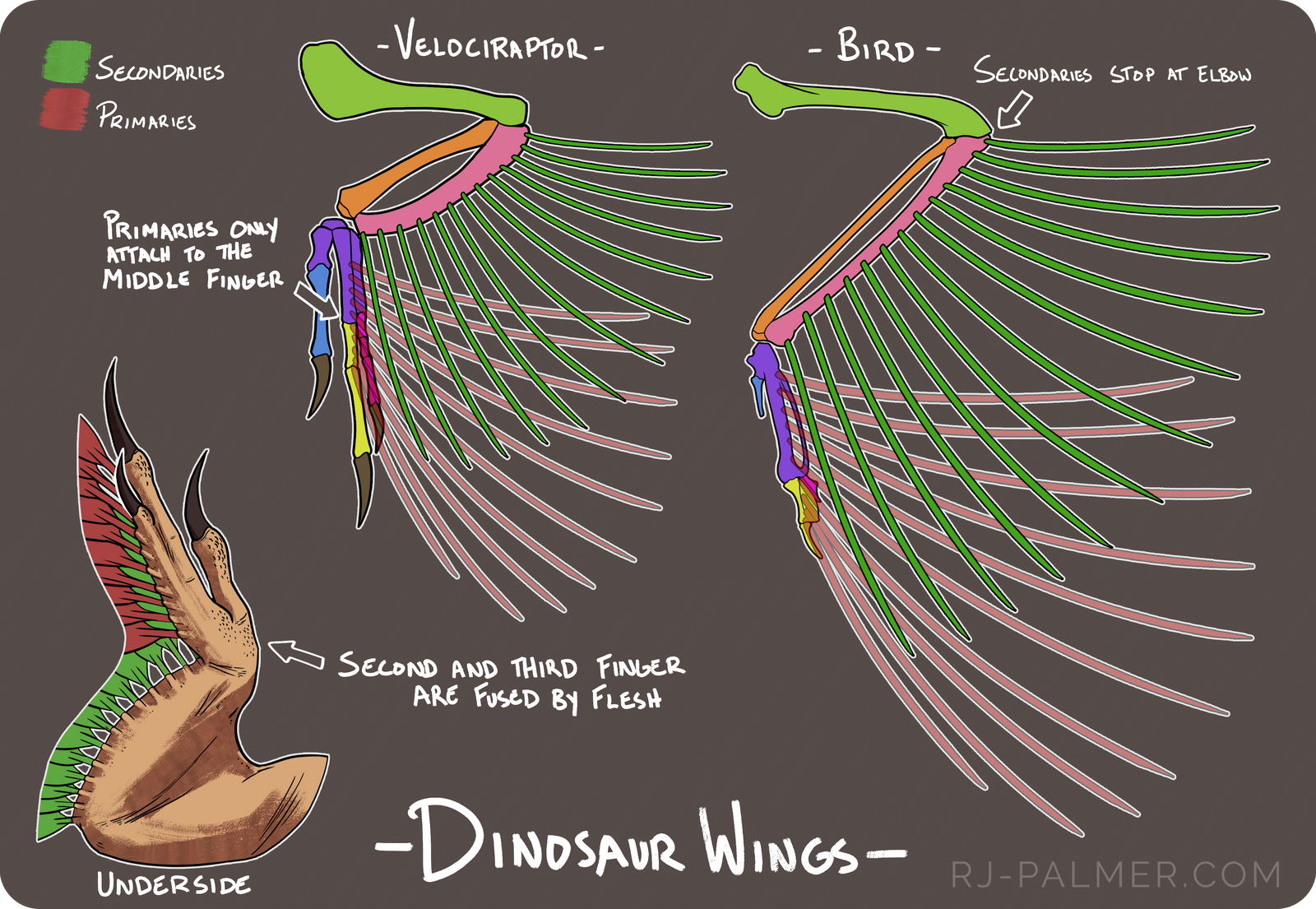 Mini Wing Tutorial by arvalis on DeviantArt