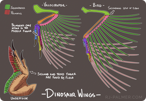 Mini Wing Tutorial