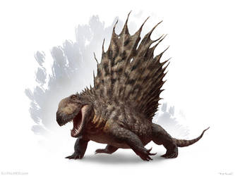 Dimetrodon