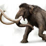 Columbian Mammoth