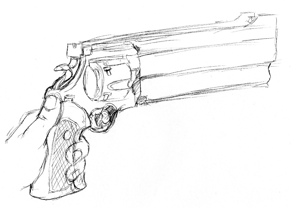 Gun Study