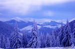 winter wonderland by lorilup