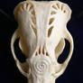 Badger Skull A
