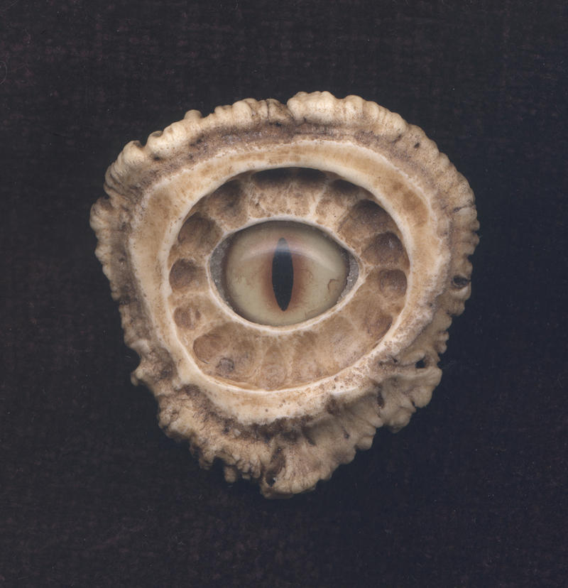 Dragon Eye 3