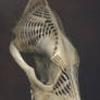 Coyote of Darkness side view