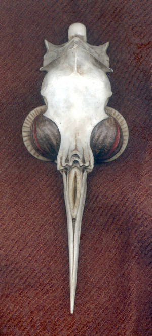 Bird Skull Pendant 2