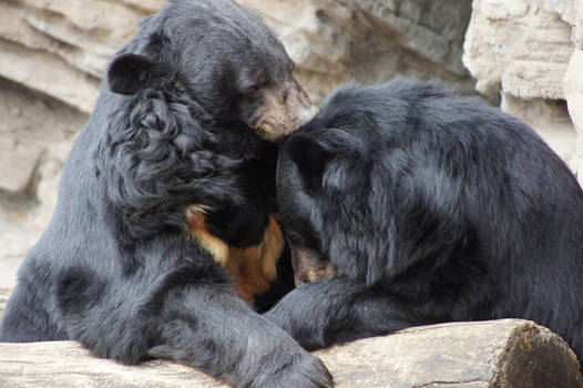 Kiss On The Forehead