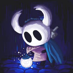 Lost Hollow Knight